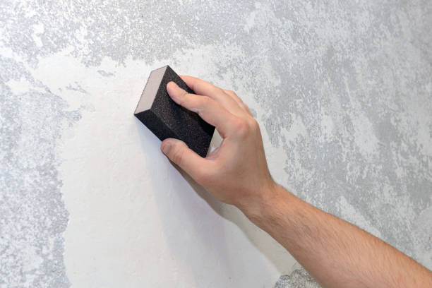 Best Black Mold Removal  in USA